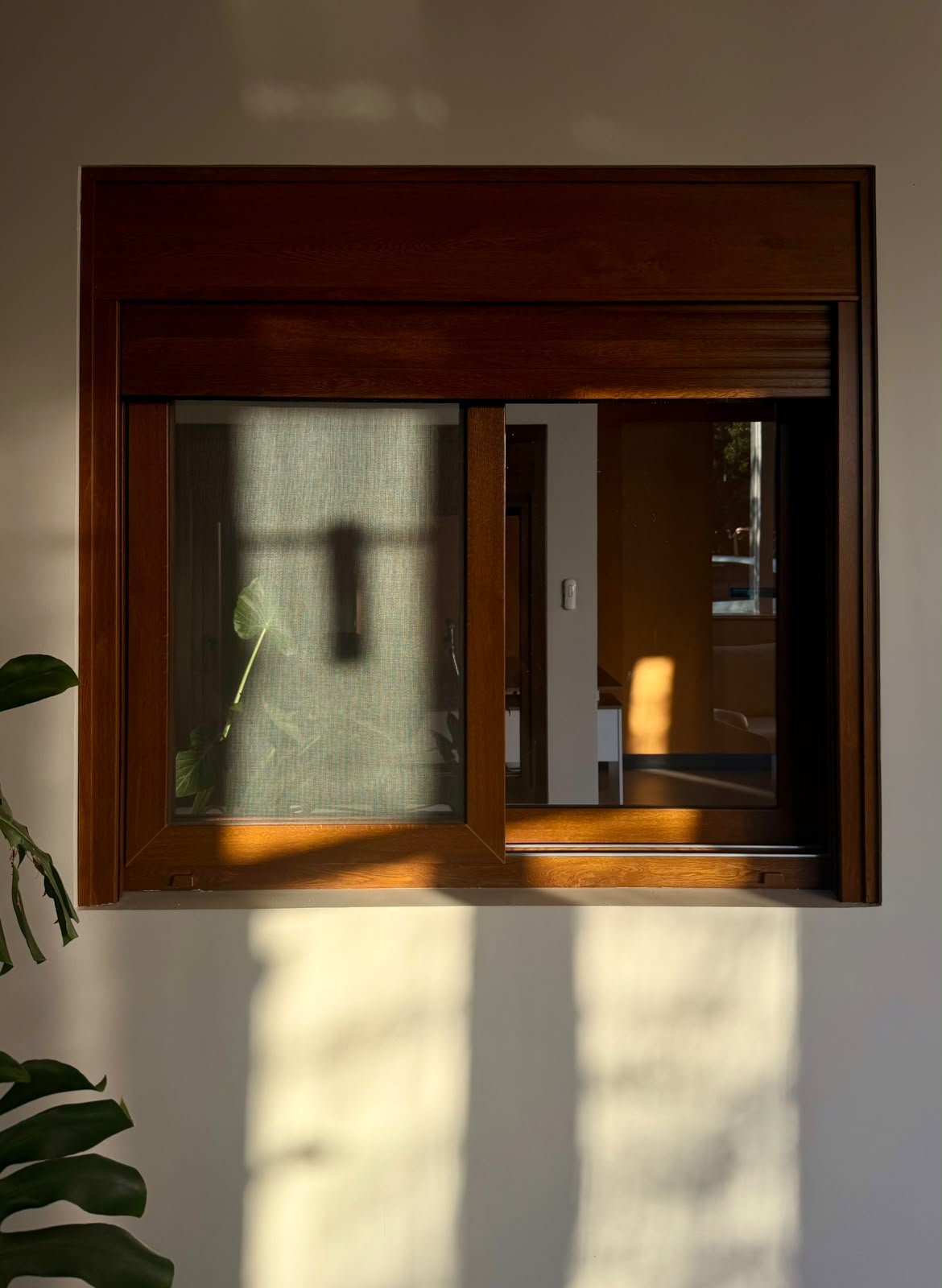 Detalhe de janela amadeirada com luz natural no showroom